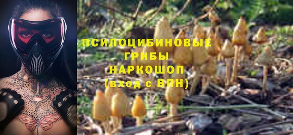 кристаллы Белокуриха