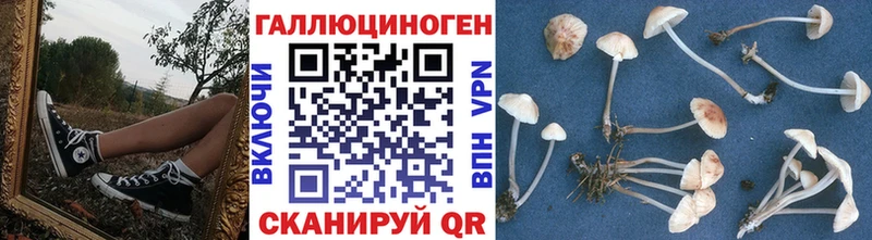 Галлюциногенные грибы Magic Shrooms  Верхний Уфалей 